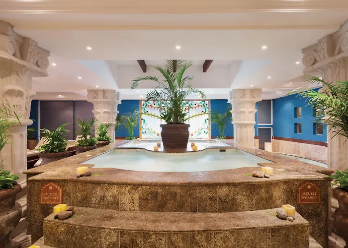 Hyatt Vivid Adult Only 5*